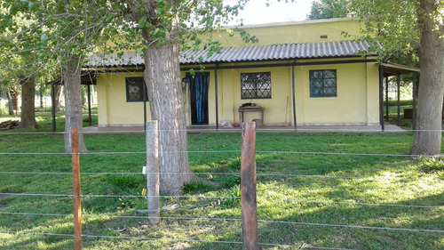 Campo Mixto En Chascomús - Permuta En La Plata