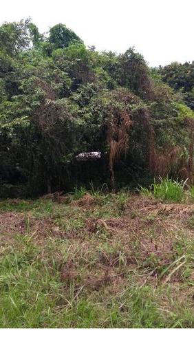 Venta Terreno 2000 M² Col. Tierra Blanca Tuxpan Veracruz.
