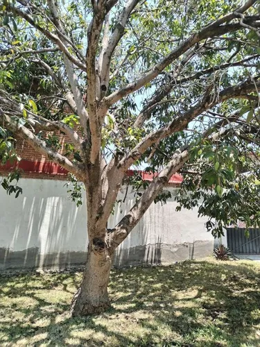 Casa En Privada En Francisco I. Madero (la Nopalera), Yautepec, Morelos - Crb-1088-cp