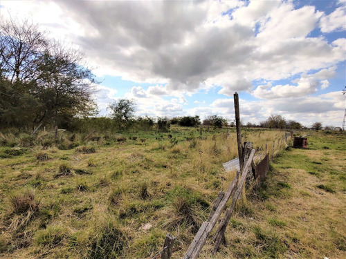 Imagen 8 de 15 de Venta De Campo En Marcos Paz 43 Hectareas