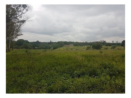 Imagen 2 de 3 de Terreno Comercial & Habitacional En Venta