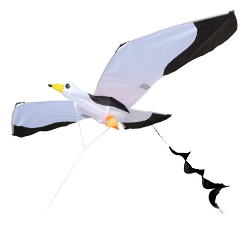 Hermosa De Gaviota En 3d Para Niños Y Adultos, De C