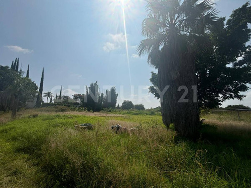 Lote Residencial En Fraccionamiento Los Cipreses, Tenextepec