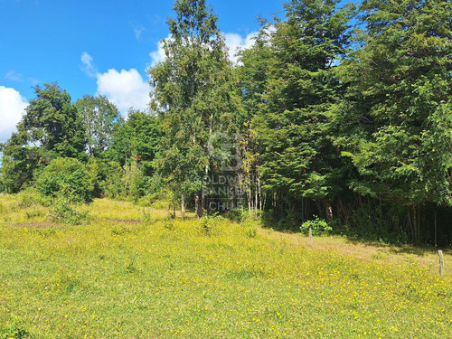 Campo Con Casa En Fresia, Excelente Inversión