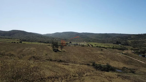 Campo Ganadero Turístico En Maldonado, 86 Has