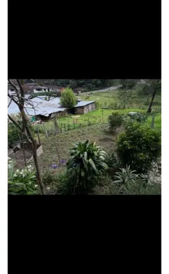 Lote y casalote en venta