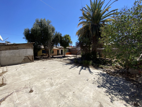 Imagen 8 de 15 de Sitio En Vicuña De 595m2 En El Valle Del Elqui!