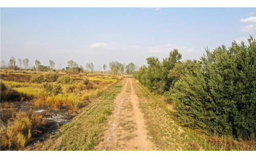 Finca De 54 Has Y 3800 M2 Has En 3 De Mayo Lavalle