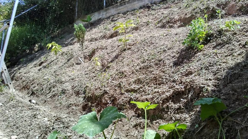 Imagen 13 de 14 de Casa Urbanización Asocsuveas Los Teques 260 M2 De Terreno