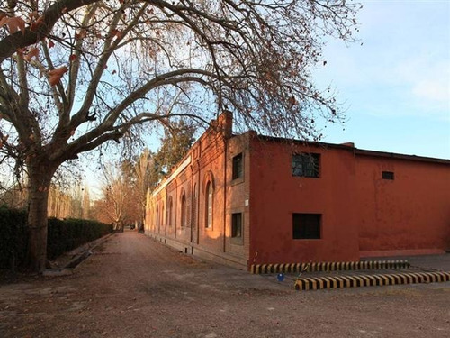 Imagen 17 de 26 de Finca En San Rafael- Mendoza