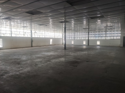 Alquilo Galpón (planta Industrial) De 781 M2 En La Zona Baja De La Yaguara. E. Waldemar