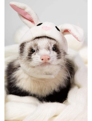 Disfraz De Hurón Dibujos Animados Forma De Animal Gorra De M