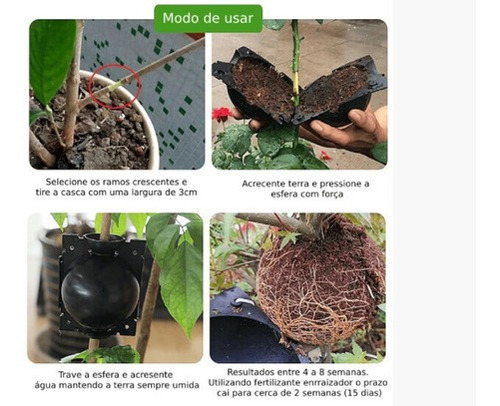 Esfera Multiplantas Alporquia Reutilizável 5unid