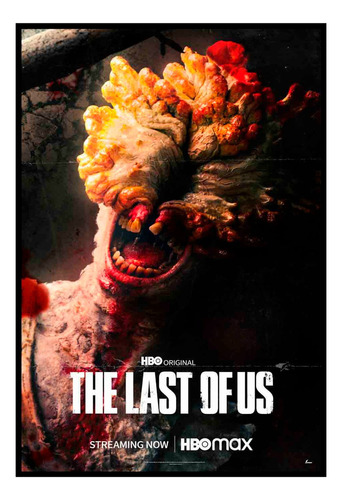 Cuadro Premium Poster 33x48cm The Last Of Us Infectado Art