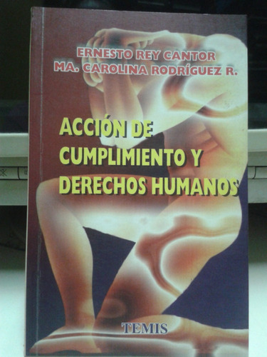 Accion De Cumplimiento Y Derechos Humanos * Rey * Colombia