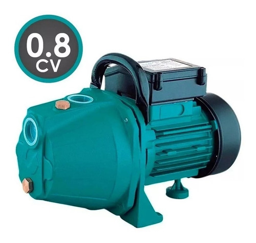 Bomba Dágua Autoaspirante Lepono 0,8hp Xkj-600i Até 30metros Cor Verde Voltagem 110v