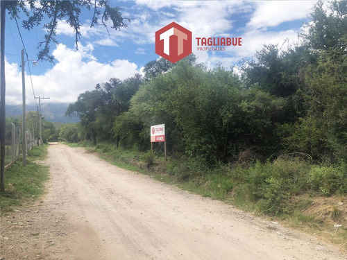 Imagen 2 de 3 de Terreno - Amplio Lote Parcela 27 - Carpinteria