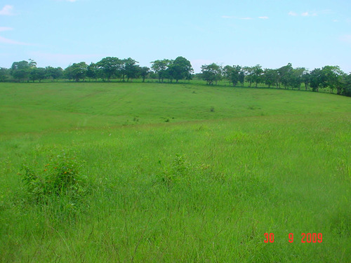 Venta De Finca En San Pedro De Macorís Con 3,300 Tareas