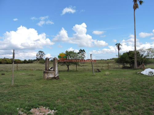 Imagen 18 de 23 de Chacra En Venta, Canelón Chico, 3 Has, Muy Linda Casa!