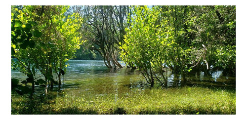 Imagen 9 de 16 de Agrícola En Venta En Lago Ranco