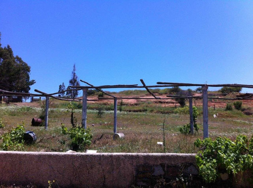 Imagen 5 de 9 de 12,7 Há Villa Alemana Para Proyecto Inmobiliario