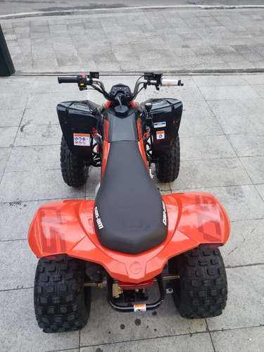 Can-am Ds 250 . 2021