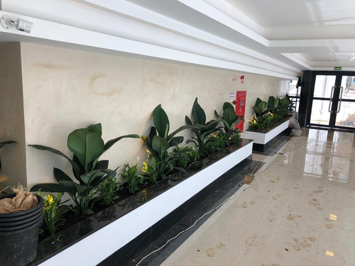 Apartamento - Ap00017 - 34202608
