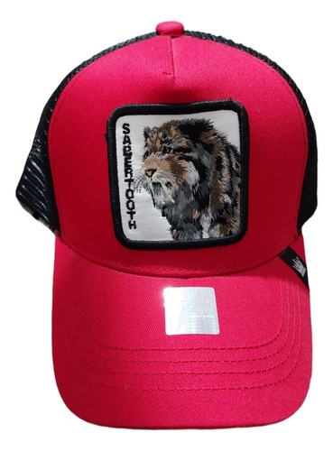 Gorra Dientes De Sable Bordado 