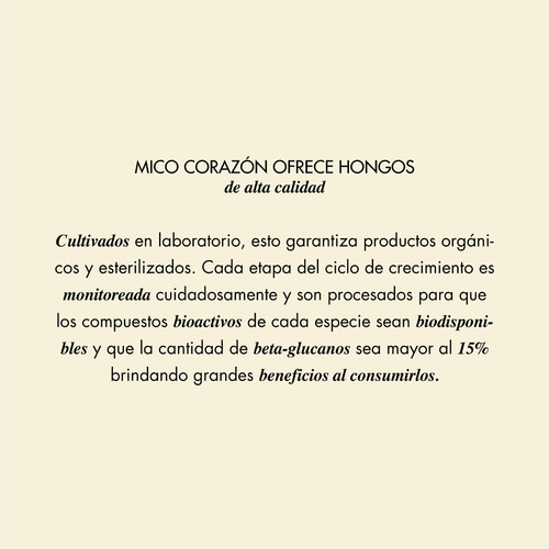 Mico Corazón | Hongo Chaga: Antiinflamatorio