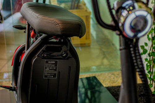 Imagem 9 de 13 de Scooter Eletrica 1500 Gloov