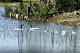 Imagen 6 de 13 de Venta Terreno - El Canton - Islas Al Agua