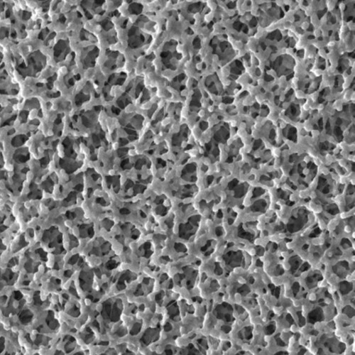 Millipore Membrana De Nylon Blanca Lisa 0.2µm 47mm Pk/100 