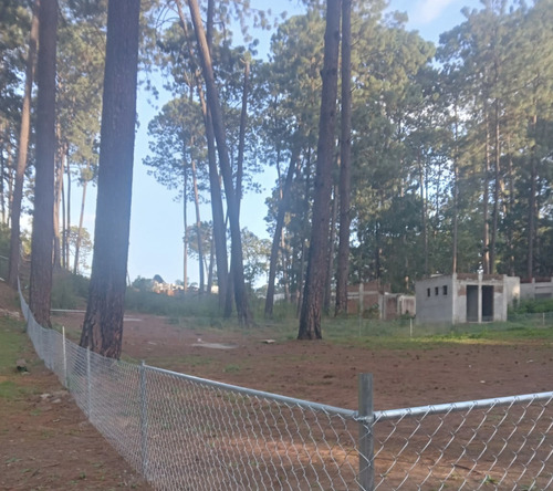 Terreno En Venta En Avánadaro
