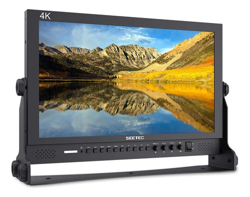 Seetec P173-9hsd 17.3 Pulgadas 1920x1080 Monitor De Escritor