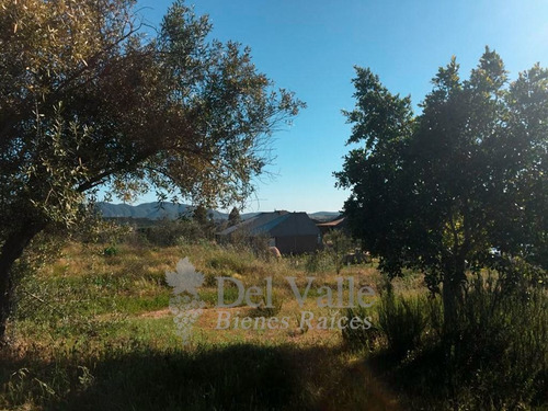 Imagen 13 de 18 de 3 Hectáreas En Valle De Guadalupe A Un Lado De Clos De Tres