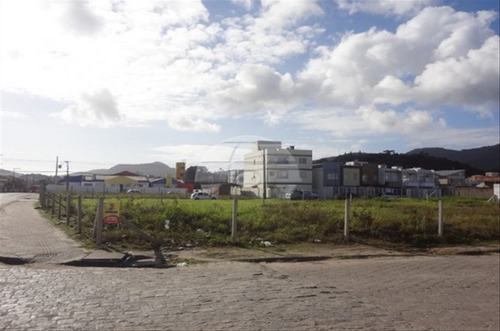 Imagem 6 de 7 de Terreno - Comercial/residencial - 60659