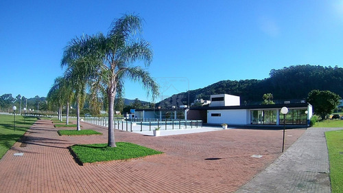 Imagem 22 de 30 de Terreno À Venda Em Ingleses Norte - Te008115