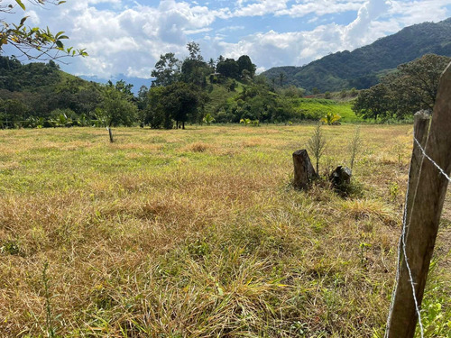 Imagen 23 de 30 de Espectacular Finca Clima Caliente En Venta Porce