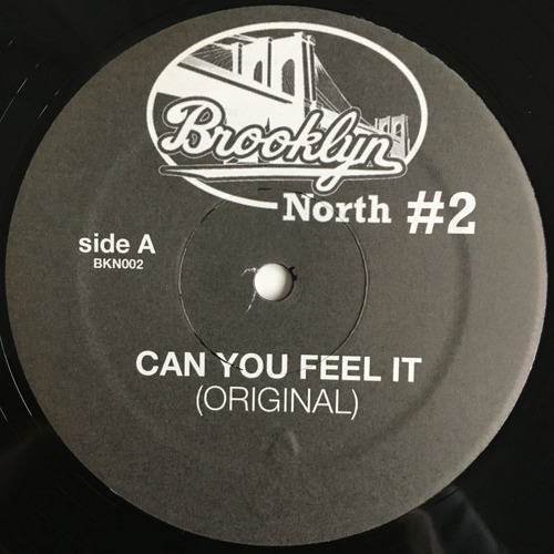 Various (fingers Inc.) - Brooklyn North Vol.02 - 12'' Single (Usado)