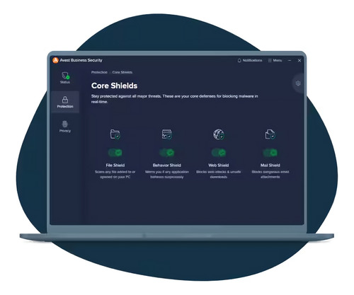 Antivirus Avast Essential Business | 1 Servidor - 3 Años