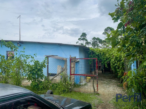 Imagem 3 de 8 de Área Rural - Chácara - 2820