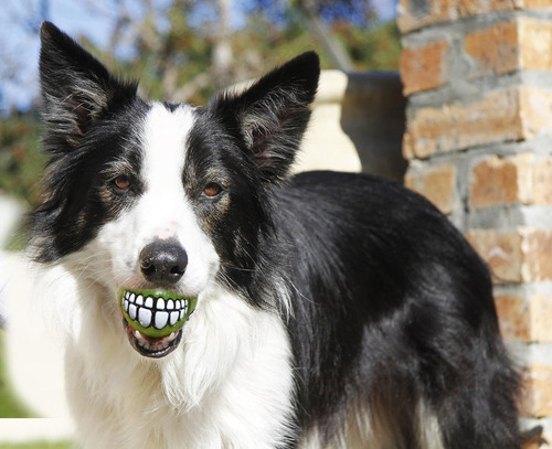 Bola Kong Grinz Sorriso Bolinha Para Cães M 3un Dispenser