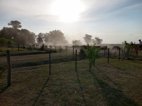 Quinta Para 5 Personas Atardecer De Uribelarrea