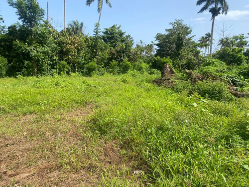 Se Venden Lotes En Las Terrenas Samana En La Bonita