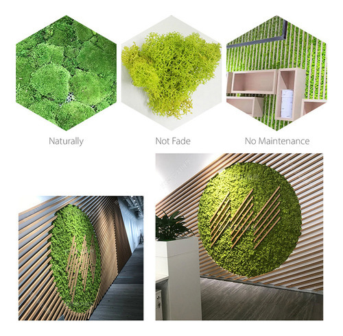 49% Off Aa Decoração De Parede Com Widget De Musgo