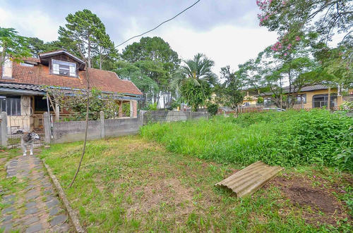 Imagem 24 de 30 de Terreno - Residencial - 923808