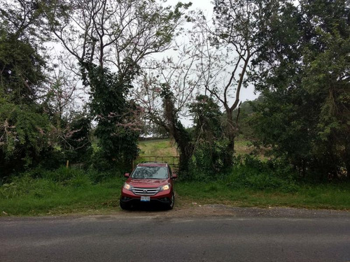 Venta Rancho Ganadero 103 Hectáreas Carretera Tuxpan -tampico