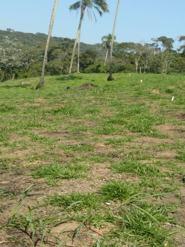 Imagem 9 de 16 de Terreno A Venda No Itaquaciara/mombaça - Te00009 - 32420434