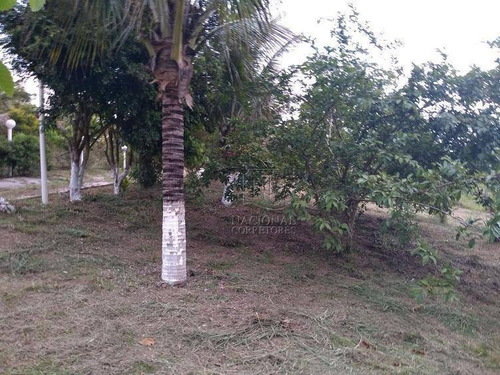 Imagem 19 de 19 de Chácara Com 4 Dormitórios À Venda, 20000 M² Por R$ 456.000,00 - Campo Alegre Iv - Bofete/sp - Ch0021