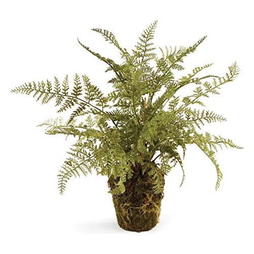 Napa Home & Garden Conservatory Soft Fern Drop-in 13  